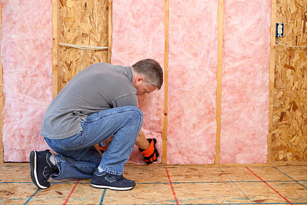 Best Insulation Air Sealing  in Burton, MI